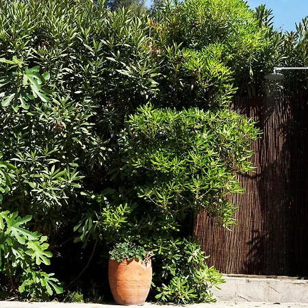 Casa vacanze Azure Bianca